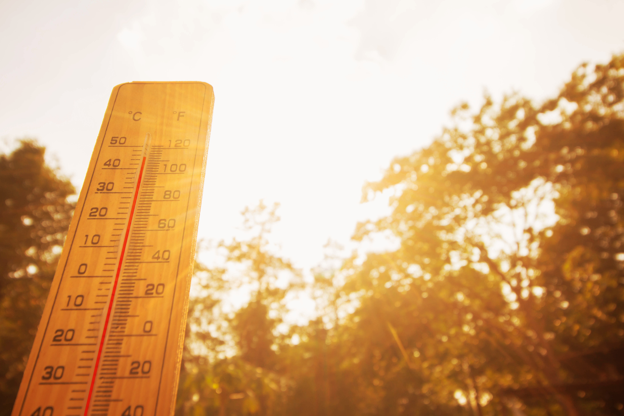 Thermometer on background with sky